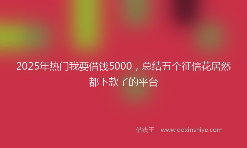 2025年热门我要借钱5000，总结五个征信花居然都下款了的平台