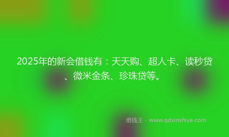 2025年的新会借钱有：天天购、超人卡、读秒贷、微米金条、珍珠贷等。