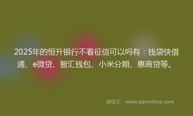 2025年的恒升银行不看征信可以吗有：钱袋快借通、e微贷、智汇钱包、小米分期、惠商贷等。