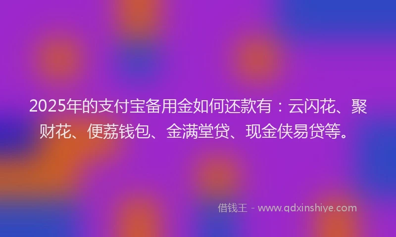 2025年的支付宝备用金如何还款有：云闪花、聚财花、便荔钱包、金满堂贷、现金侠易贷等。