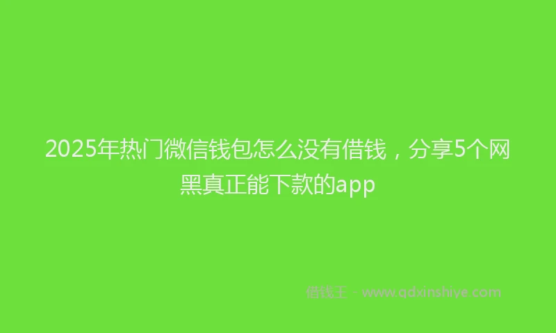 2025年热门微信钱包怎么没有借钱，分享5个网黑真正能下款的app