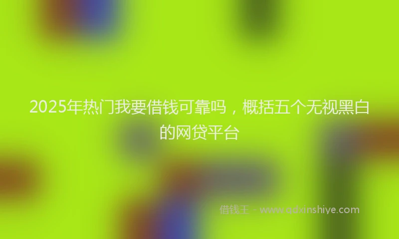 2025年热门我要借钱可靠吗，概括五个无视黑白的网贷平台