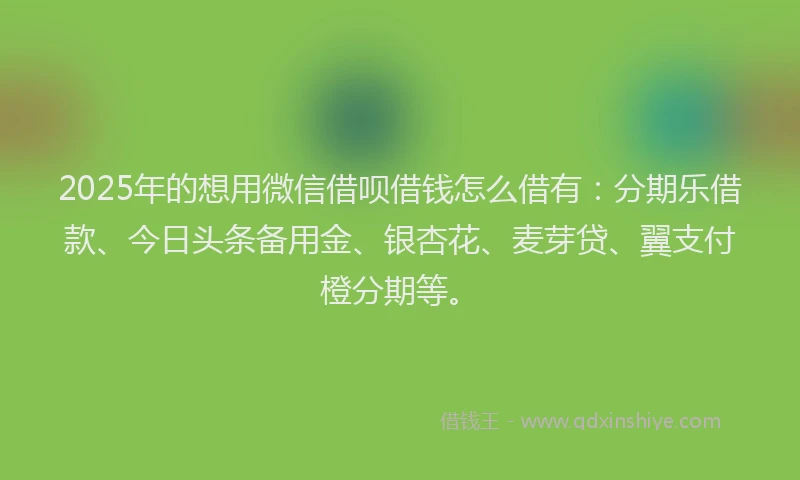 2025年的想用微信借呗借钱怎么借有：分期乐借款、今日头条备用金、银杏花、麦芽贷、翼支付橙分期等。