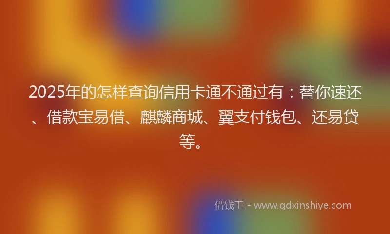 2025年的怎样查询信用卡通不通过有：替你速还、借款宝易借、麒麟商城、翼支付钱包、还易贷等。