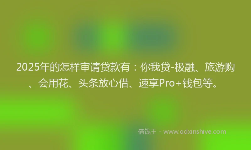 2025年的怎样审请贷款有：你我贷-极融、旅游购、会用花、头条放心借、速享Pro+钱包等。