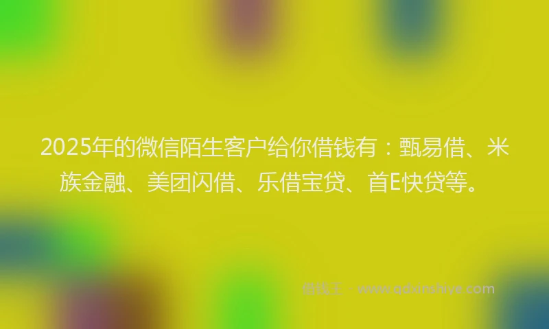 2025年的微信陌生客户给你借钱有：甄易借、米族金融、美团闪借、乐借宝贷、首E快贷等。