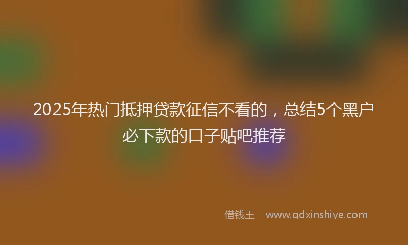 2025年热门抵押贷款征信不看的，总结5个黑户必下款的口子贴吧推荐
