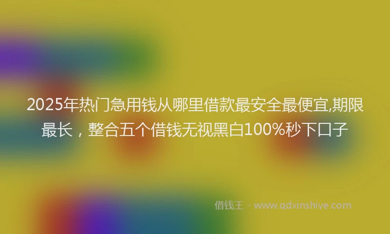 2025年热门急用钱从哪里借款最安全最便宜,期限最长，整合五个借钱无视黑白100%秒下口子