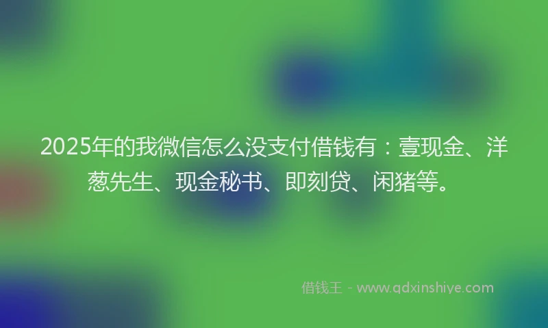 2025年的我微信怎么没支付借钱有：壹现金、洋葱先生、现金秘书、即刻贷、闲猪等。