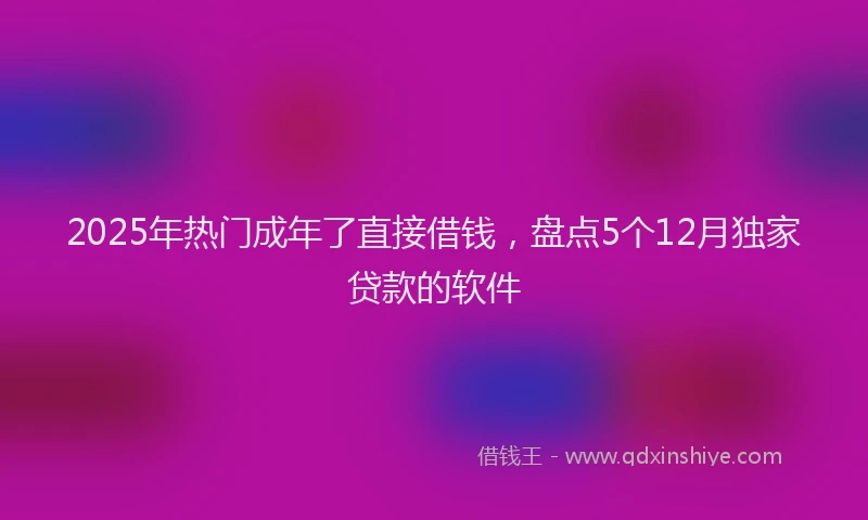 2025年热门成年了直接借钱，盘点5个12月独家贷款的软件