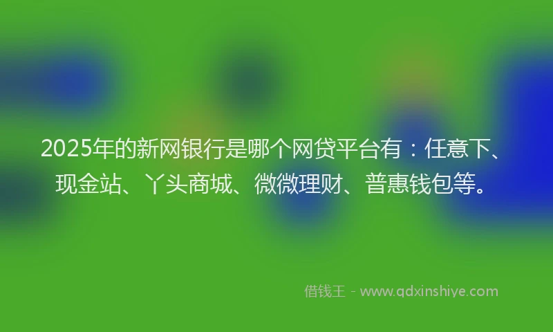 2025年的新网银行是哪个网贷平台有：任意下、现金站、丫头商城、微微理财、普惠钱包等。