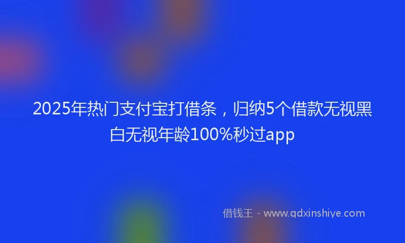 2025年热门支付宝打借条，归纳5个借款无视黑白无视年龄100%秒过app