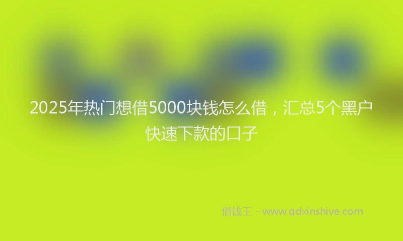 2025年热门想借5000块钱怎么借，汇总5个黑户快速下款的口子