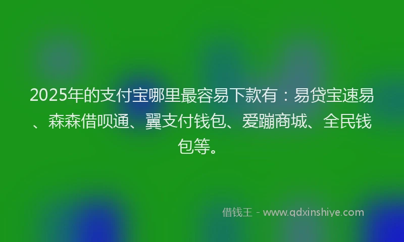 2025年的支付宝哪里最容易下款有：易贷宝速易、森森借呗通、翼支付钱包、爱蹦商城、全民钱包等。