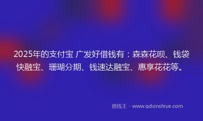 2025年的支付宝 广发好借钱有：森森花呗、钱袋快融宝、珊瑚分期、钱速达融宝、惠享花花等。
