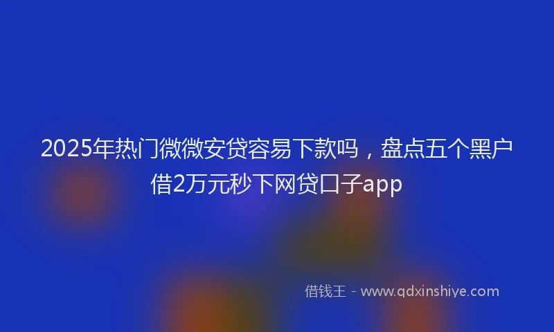 2025年热门微微安贷容易下款吗，盘点五个黑户借2万元秒下网贷口子app