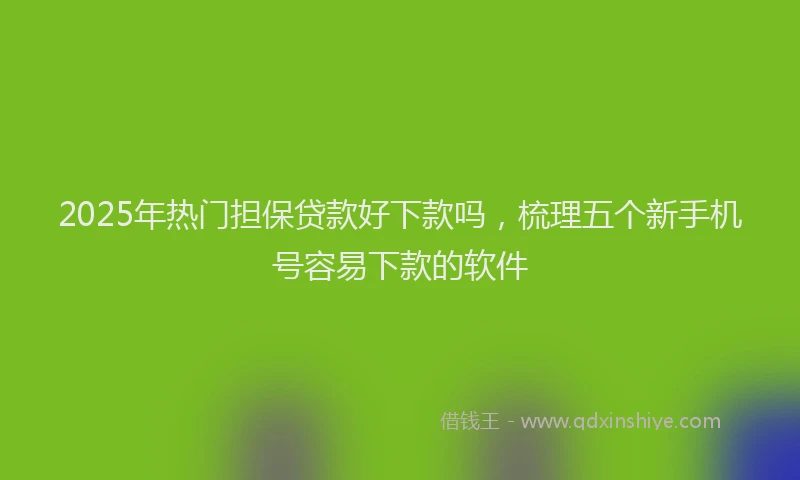 2025年热门担保贷款好下款吗，梳理五个新手机号容易下款的软件
