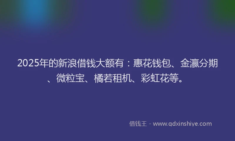 2025年的新浪借钱大额有：惠花钱包、金瀛分期、微粒宝、橘若租机、彩虹花等。