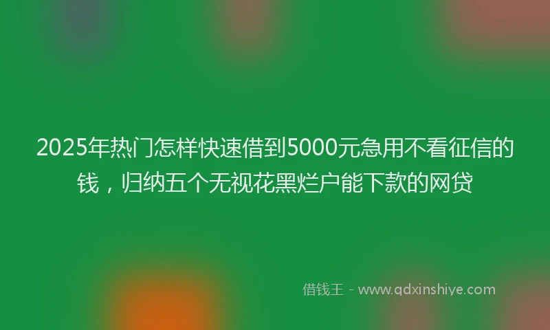 2025年热门怎样快速借到5000元急用不看征信的钱，归纳五个无视花黑烂户能下款的网贷