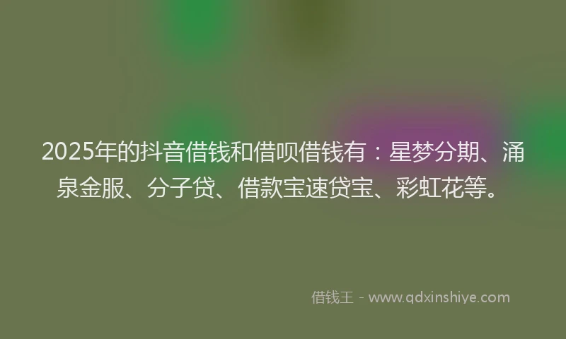 2025年的抖音借钱和借呗借钱有：星梦分期、涌泉金服、分子贷、借款宝速贷宝、彩虹花等。