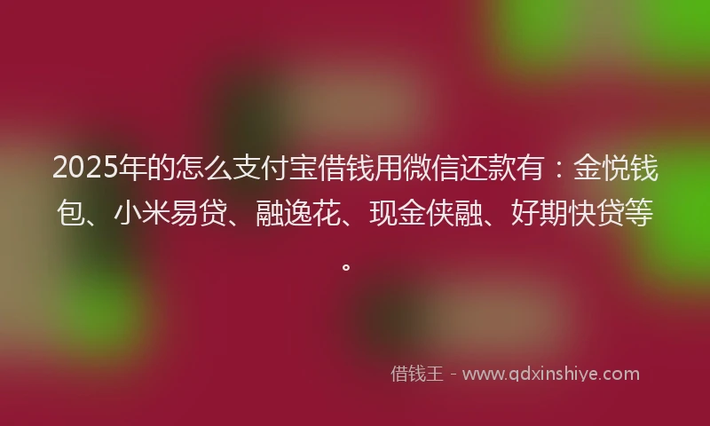 2025年的怎么支付宝借钱用微信还款有：金悦钱包、小米易贷、融逸花、现金侠融、好期快贷等。