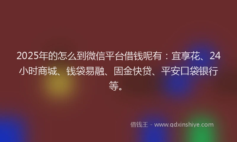 2025年的怎么到微信平台借钱呢有：宜享花、24小时商城、钱袋易融、固金快贷、平安口袋银行等。