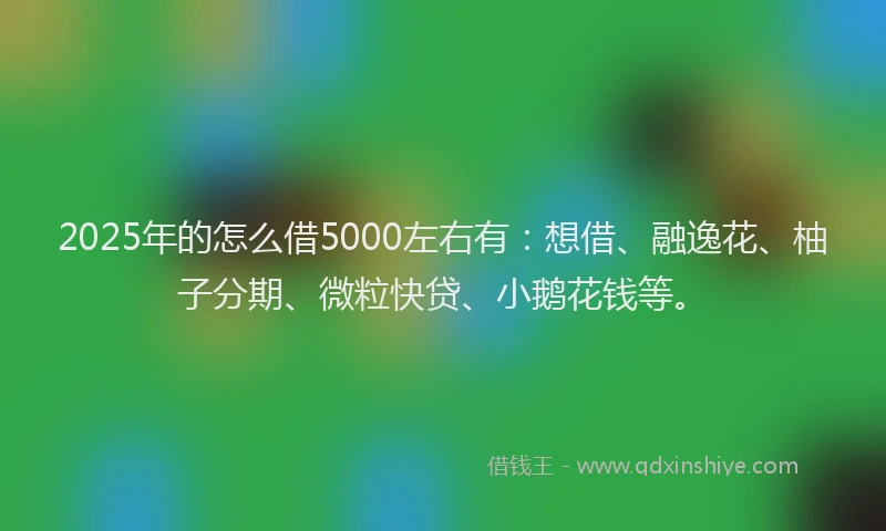 2025年的怎么借5000左右有：想借、融逸花、柚子分期、微粒快贷、小鹅花钱等。