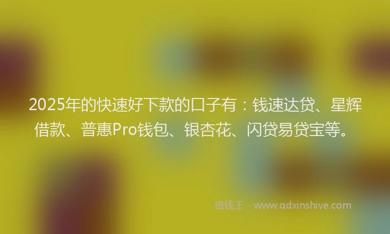 2025年的快速好下款的口子有：钱速达贷、星辉借款、普惠Pro钱包、银杏花、闪贷易贷宝等。