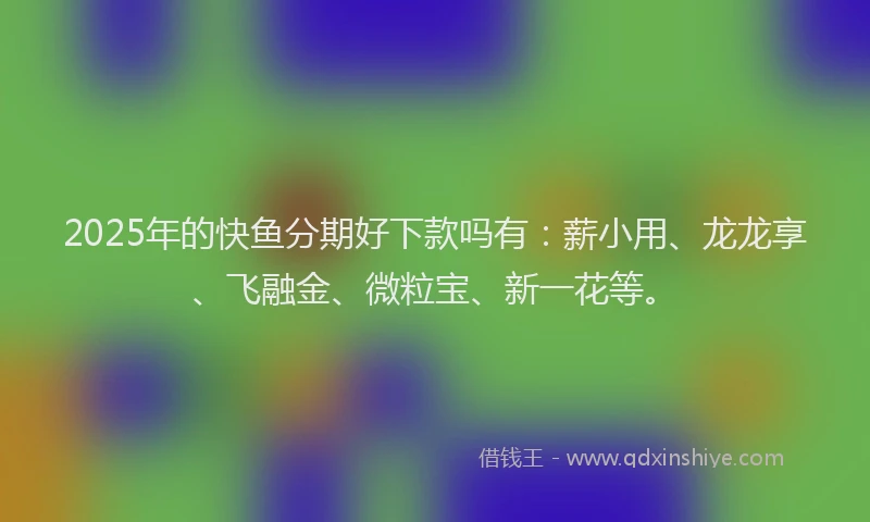 2025年的快鱼分期好下款吗有：薪小用、龙龙享、飞融金、微粒宝、新一花等。