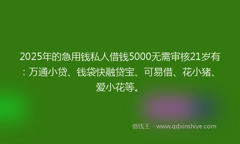 2025年的急用钱私人借钱5000无需审核21岁有：万通小贷、钱袋快融贷宝、可易借、花小猪、爱小花等。
