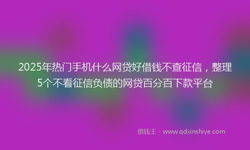 2025年热门手机什么网贷好借钱不查征信，整理5个不看征信负债的网贷百分百下款平台