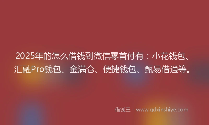 2025年的怎么借钱到微信零首付有：小花钱包、汇融Pro钱包、金满仓、便捷钱包、甄易借通等。