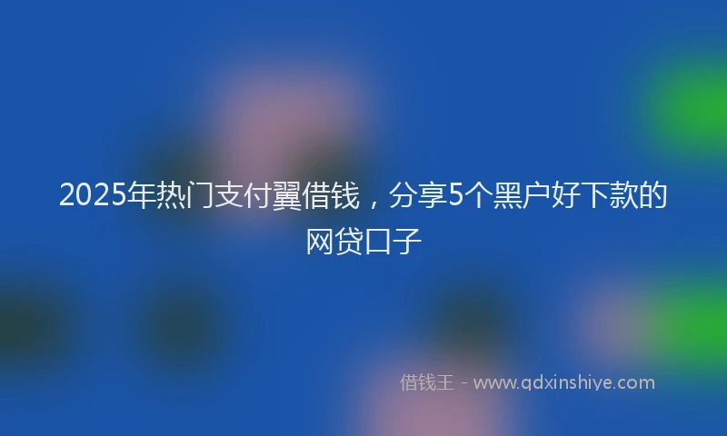 2025年热门支付翼借钱，分享5个黑户好下款的网贷口子