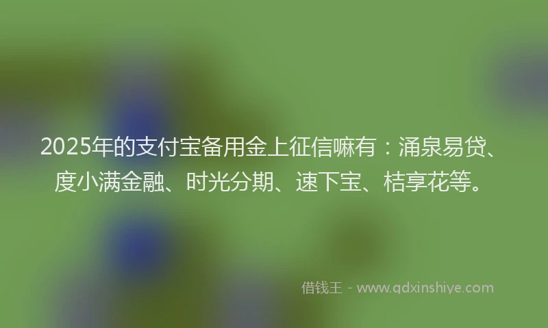 2025年的支付宝备用金上征信嘛有：涌泉易贷、度小满金融、时光分期、速下宝、桔享花等。