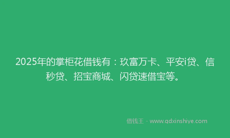 2025年的掌柜花借钱有：玖富万卡、平安i贷、信秒贷、招宝商城、闪贷速借宝等。