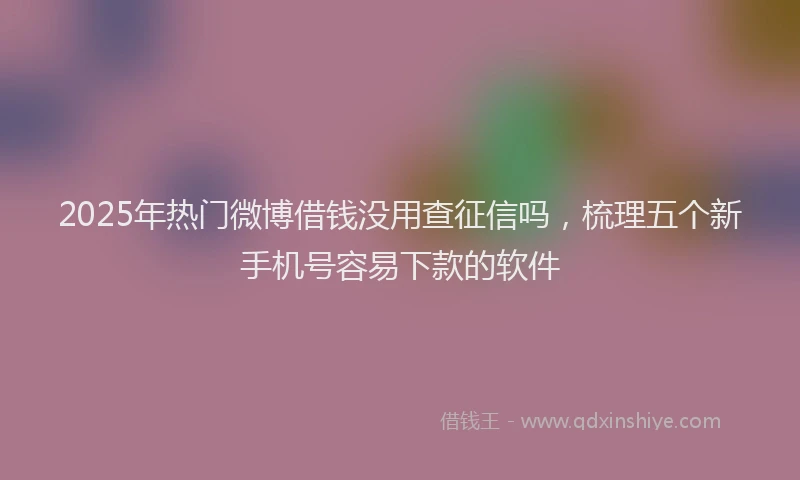 2025年热门微博借钱没用查征信吗，梳理五个新手机号容易下款的软件
