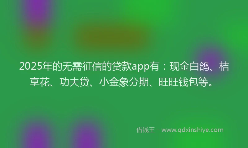 2025年的无需征信的贷款app有：现金白鸽、桔享花、功夫贷、小金象分期、旺旺钱包等。