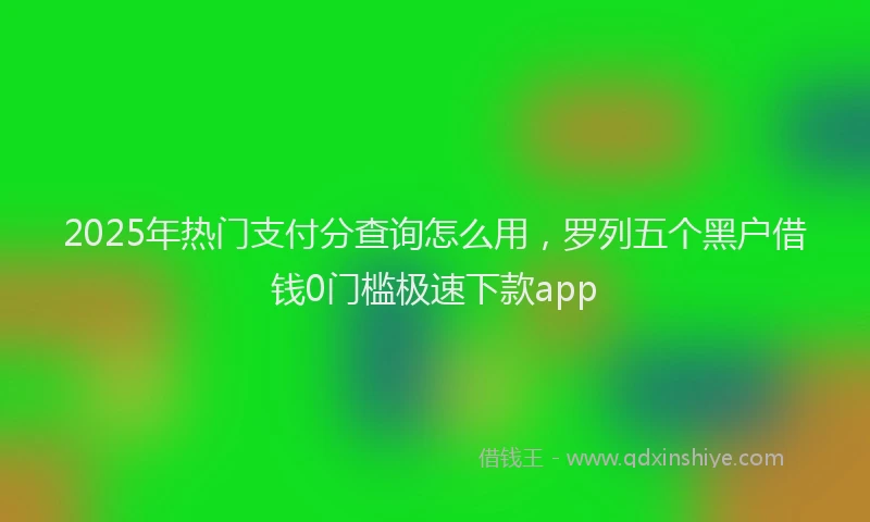 2025年热门支付分查询怎么用，罗列五个黑户借钱0门槛极速下款app