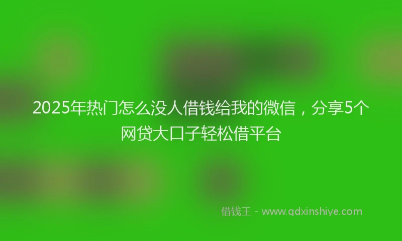 2025年热门怎么没人借钱给我的微信，分享5个网贷大口子轻松借平台