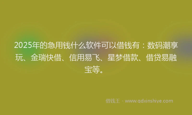 2025年的急用钱什么软件可以借钱有：数码潮享玩、金瑞快借、信用易飞、星梦借款、借贷易融宝等。
