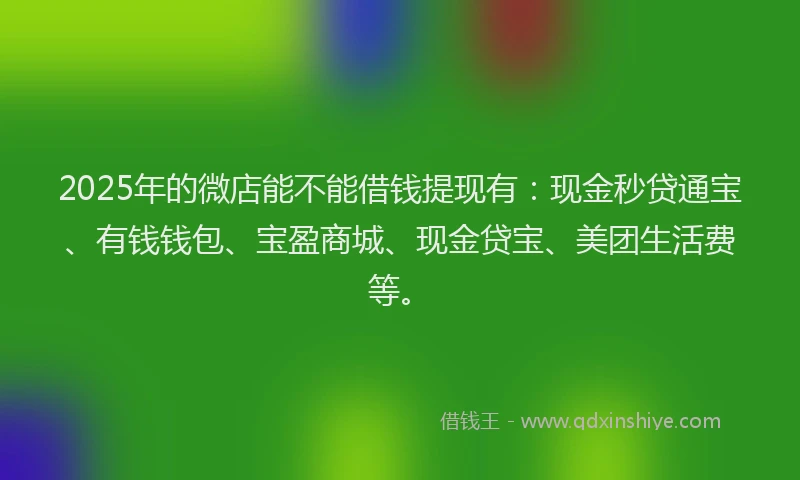 2025年的微店能不能借钱提现有：现金秒贷通宝、有钱钱包、宝盈商城、现金贷宝、美团生活费等。