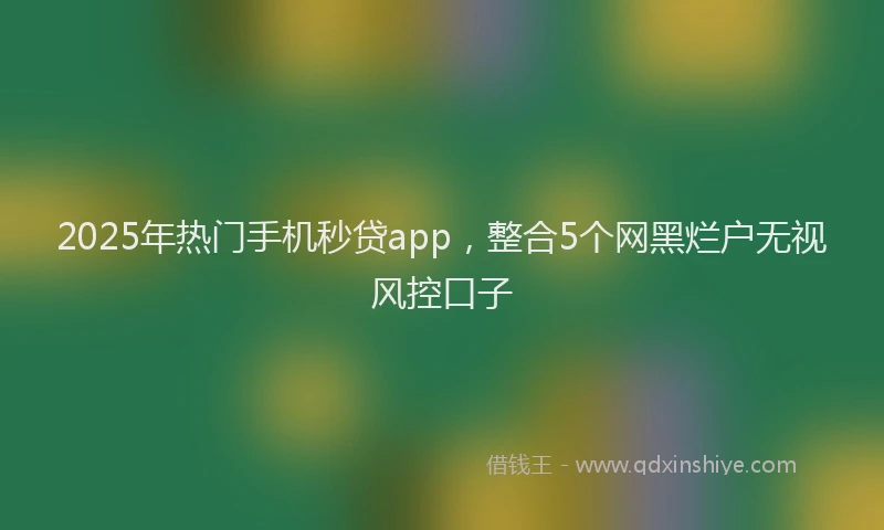 2025年热门手机秒贷app，整合5个网黑烂户无视风控口子