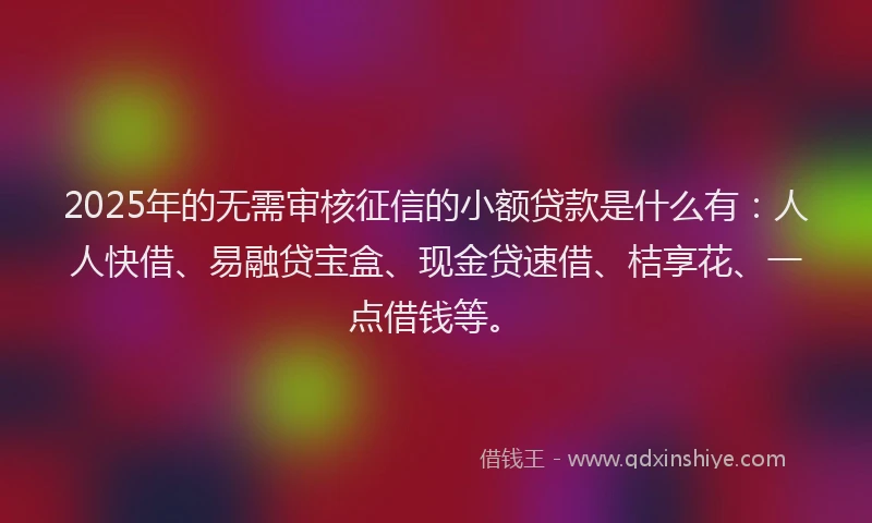 2025年的无需审核征信的小额贷款是什么有：人人快借、易融贷宝盒、现金贷速借、桔享花、一点借钱等。