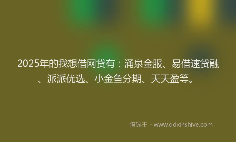 2025年的我想借网贷有：涌泉金服、易借速贷融、派派优选、小金鱼分期、天天盈等。