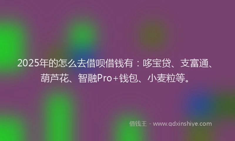 2025年的怎么去借呗借钱有：哆宝贷、支富通、葫芦花、智融Pro+钱包、小麦粒等。