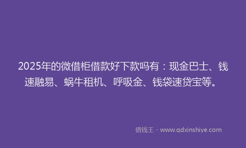 2025年的微借柜借款好下款吗有：现金巴士、钱速融易、蜗牛租机、呼吸金、钱袋速贷宝等。