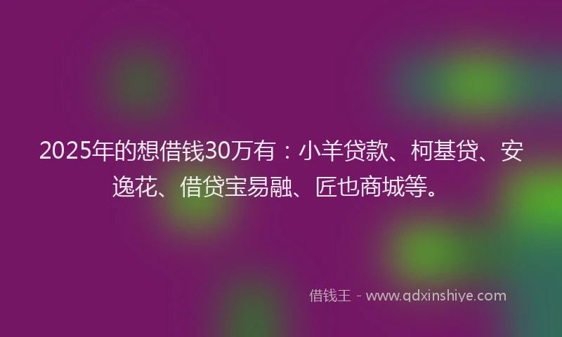 2025年的想借钱30万有：小羊贷款、柯基贷、安逸花、借贷宝易融、匠也商城等。