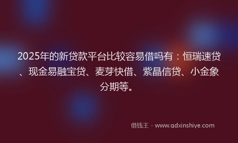 2025年的新贷款平台比较容易借吗有：恒瑞速贷、现金易融宝贷、麦芽快借、紫晶信贷、小金象分期等。