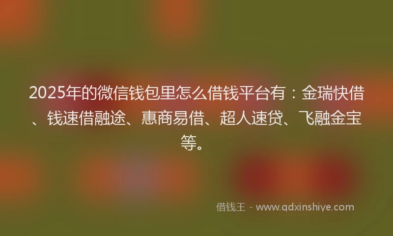 2025年的微信钱包里怎么借钱平台有：金瑞快借、钱速借融途、惠商易借、超人速贷、飞融金宝等。