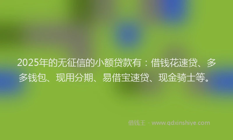 2025年的无征信的小额贷款有：借钱花速贷、多多钱包、现用分期、易借宝速贷、现金骑士等。